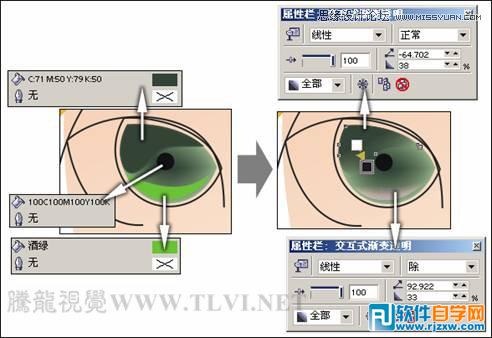 CorelDRAWX7O(sh)Ӌͨ宋Ů̳_ܛԌW(xu)W(wng)