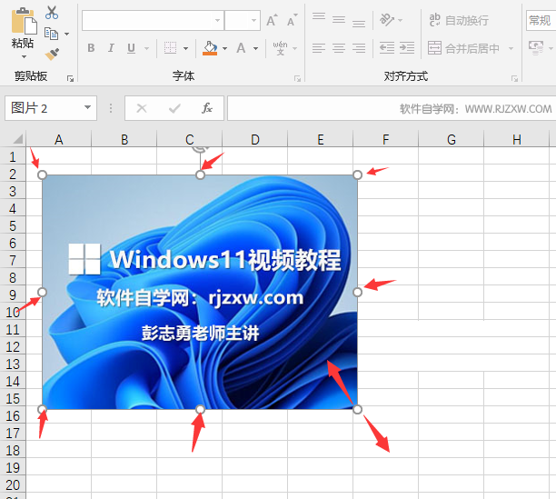 excel2019ĈDƬô{(dio)С2