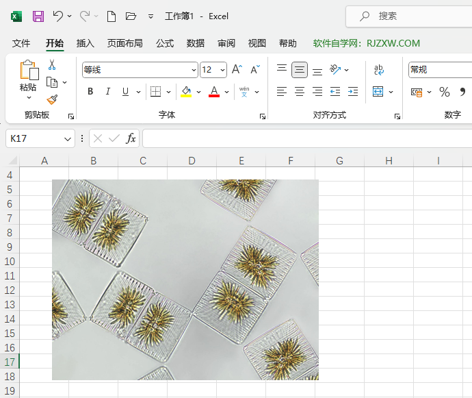 Excel2021βһ(x)DƬ5